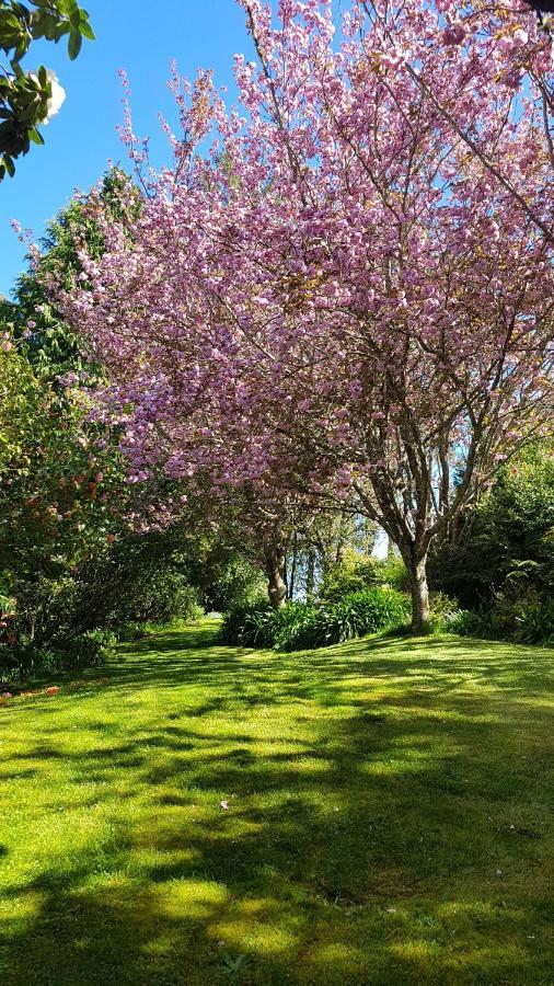 Centennial House Taupo Villa Luaran gambar